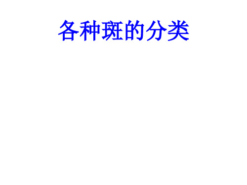 各种斑的分类PPT培训课件