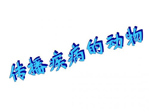 传播疾病的动物