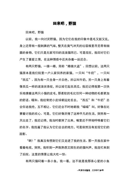 回来吧,野猫_小学三四年级状物
