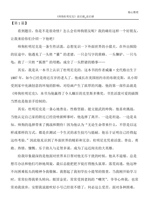 《帅狗杜明尼克》读后感 _读后感