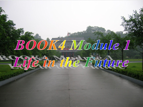 外研 高中英语必修4Module 1 reading and vocabulary PPT课堂课件(