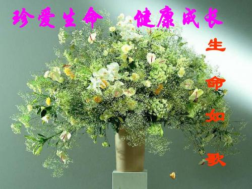 【主题班会--心理、身体健康篇】：珍爱生命,健康成长ppt(生命如歌).ppt