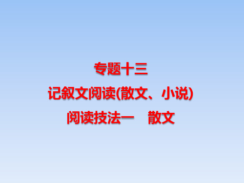 最新中考语文复习专题十三 记叙文阅读(散文)