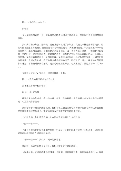 关于少年宫的作文范文