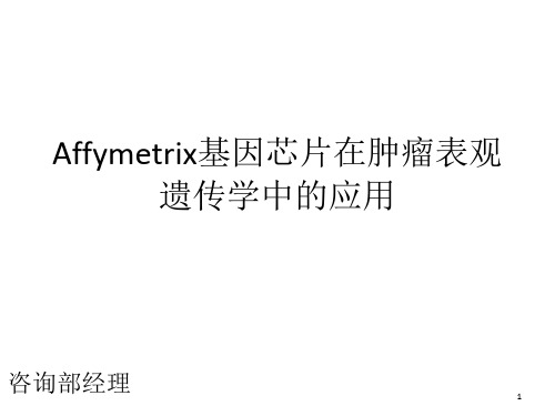 Affymetrix基因芯片在肿瘤表观遗传学中的应用(其明第七讲)PPT课件