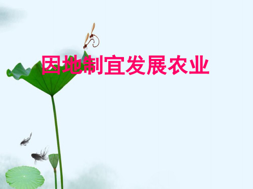 八年级地理因地制宜发展农业