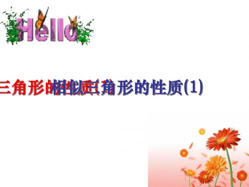 6.5相似三角形的性质(1)