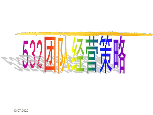 保险公新司532团队经营策略(ppt 37页)