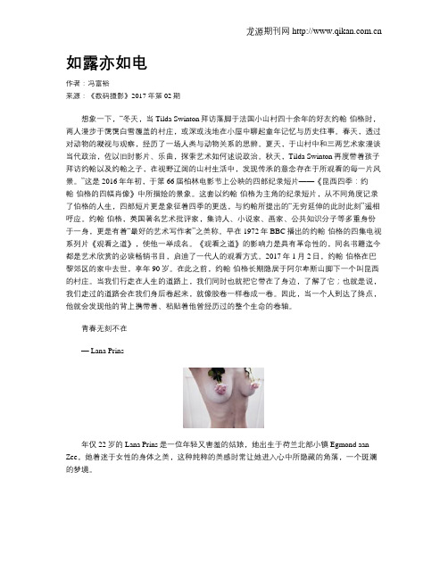 如露亦如电