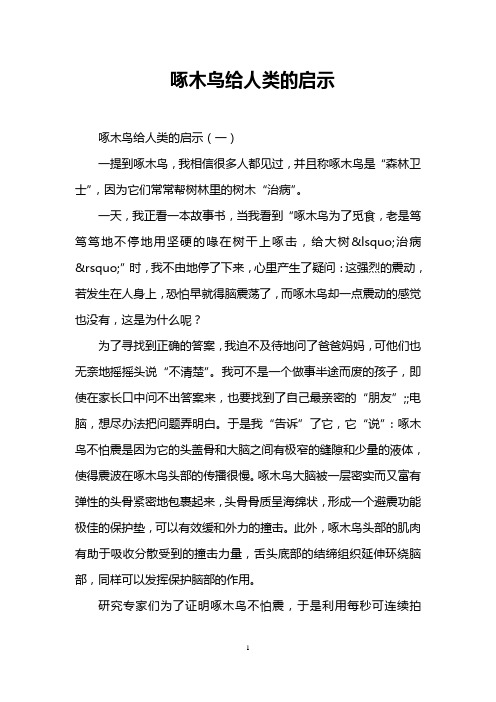 啄木鸟给人类的启示