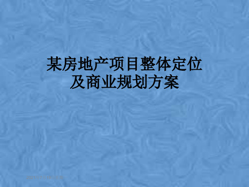 某房地产项目整体定位及商业规划方案