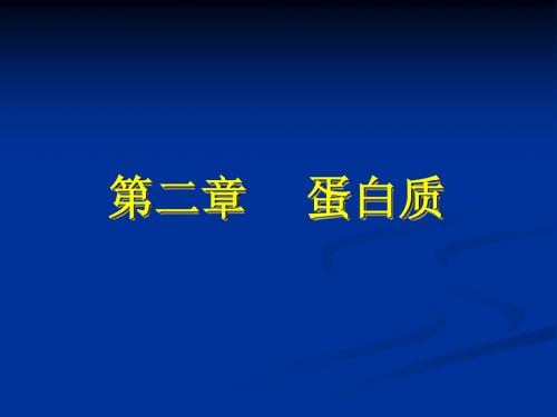 生物化学第二章   蛋白质