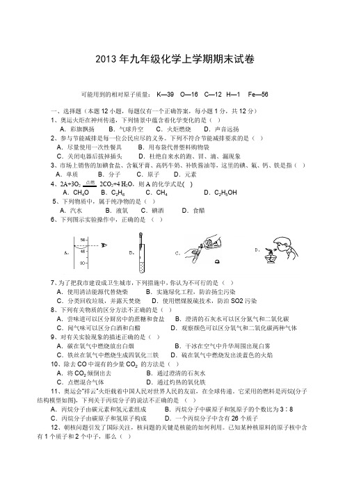 2013年九年级化学上学期期末试卷