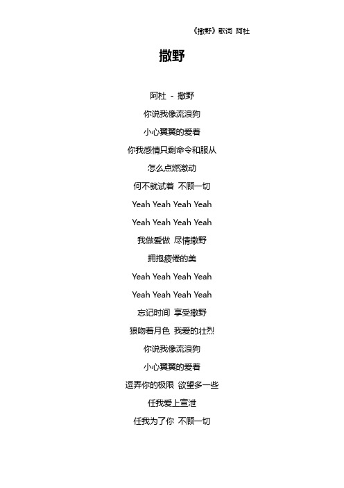 《撒野》歌词 阿杜