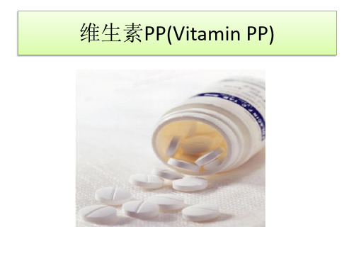 维生素PP(Vitamin PP)