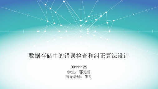 数据存储中的错误检查和纠正算法设计