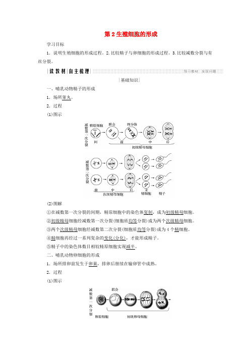 高中生物第二章减数分裂和有性生殖第2课时生殖细胞的形成学案苏教版必修