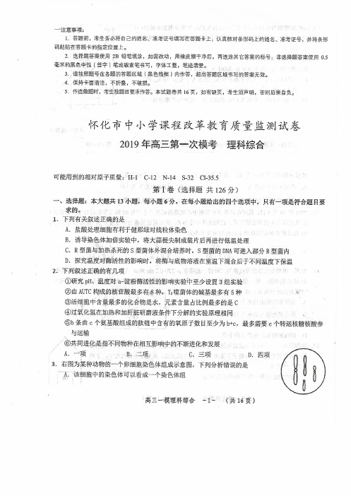 湖南省怀化市2019届高三3月第一次模拟考试 理科综合(图片版)