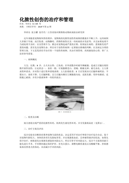 化脓性创伤的治疗和管理