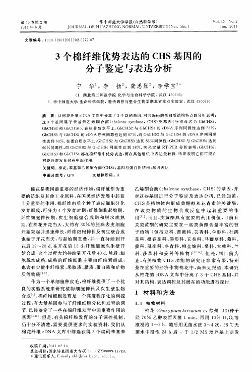 3个棉纤维优势表达的CHS基因的分子鉴定与表达分析