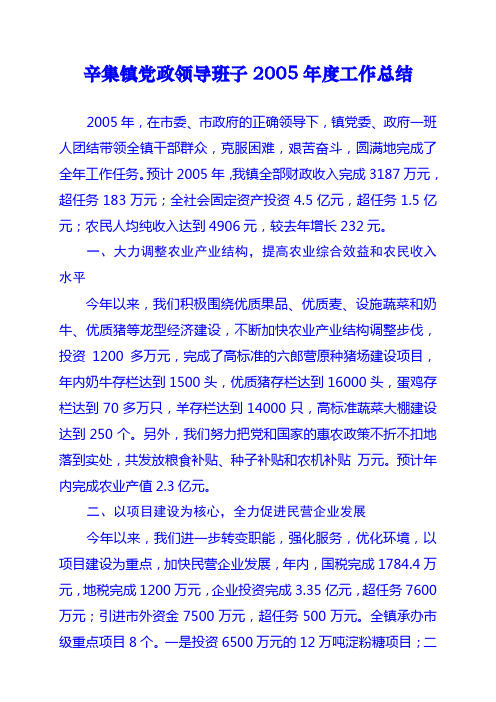 辛集镇党政领导班子2005年度工作总结