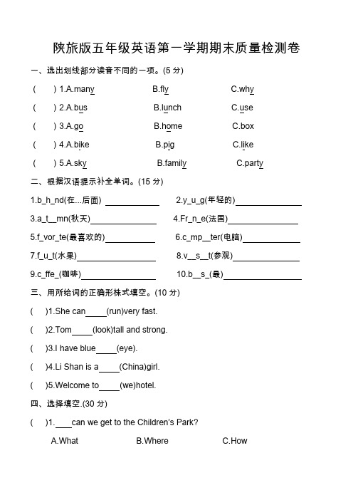 最新陕旅版五年级英语上册期末测试卷