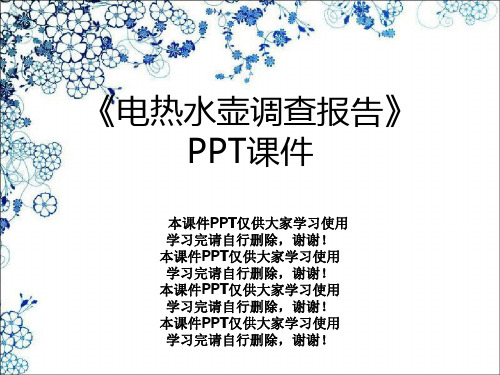 《电热水壶调查报告》PPT课件