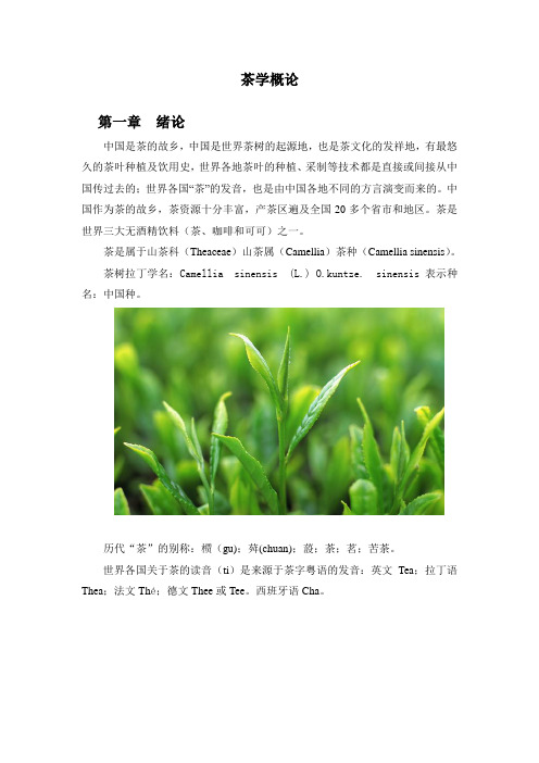 茶学概论