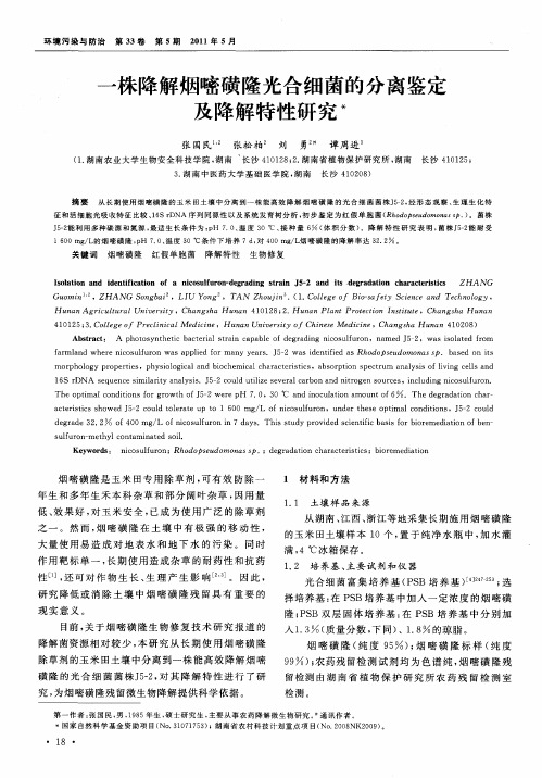 一株降解烟嘧磺隆光合细菌的分离鉴定及降解特性研究