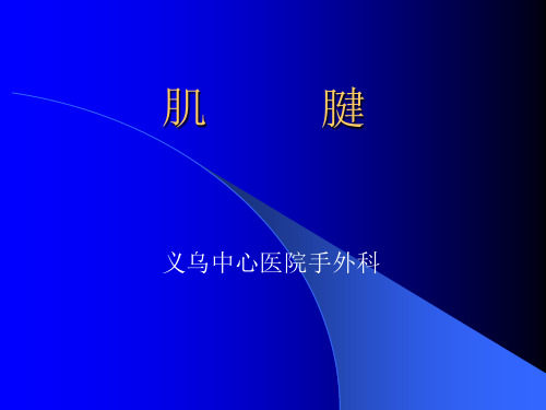 肌腱