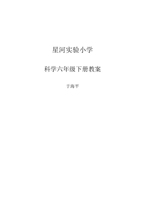 科学 第八册 备课教案