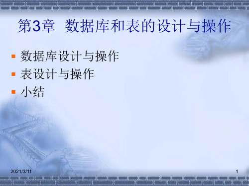 数据库和表的设计与操作.ppt