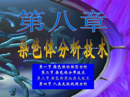 第8章 染色体组型分析