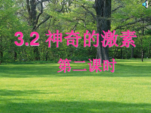 神奇的激素2