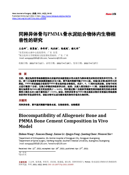 同种异体骨与PMMA骨水泥组合物体内生物相容性的研究