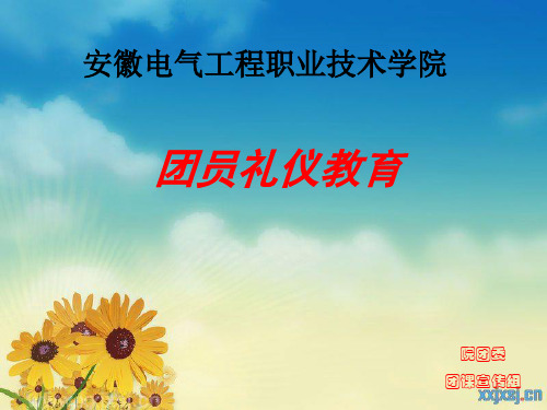 共青团团规范.