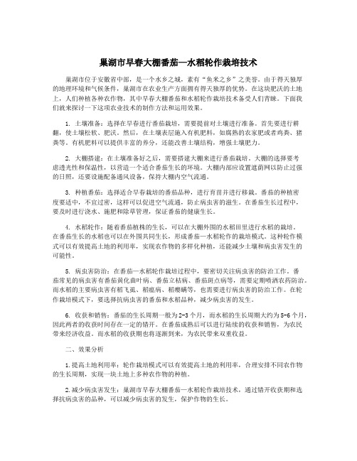 巢湖市早春大棚番茄—水稻轮作栽培技术