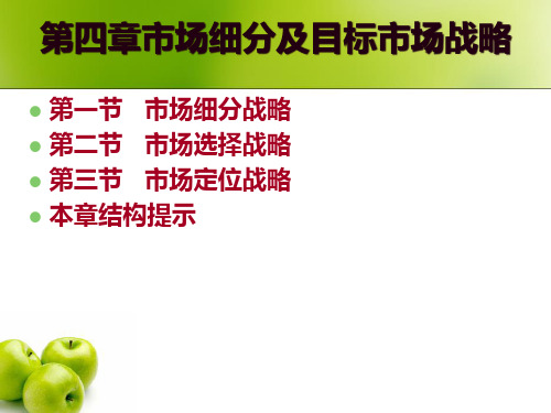 市场细分及目标市场战略.pptx