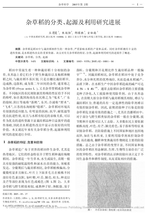杂草稻的分类_起源及利用研究进展
