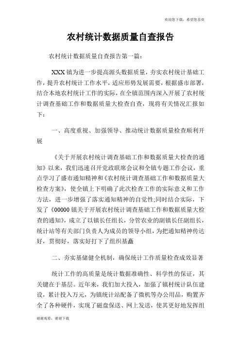 农村统计数据质量自查报告.doc