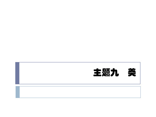 准高级汉语口语 主题九 美