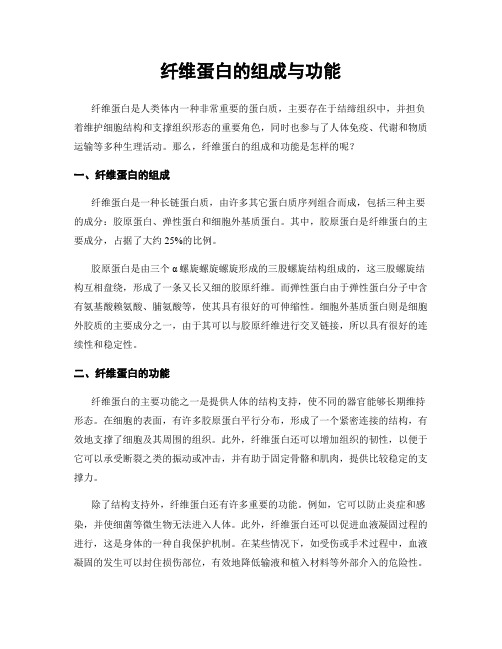 纤维蛋白的组成与功能