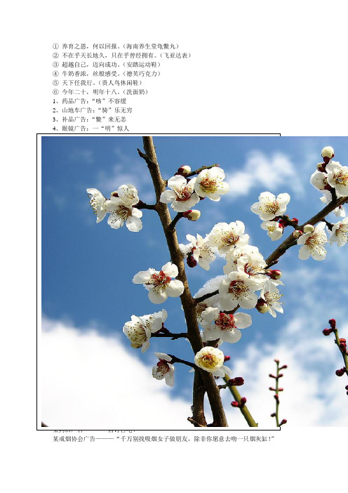 有趣广告名