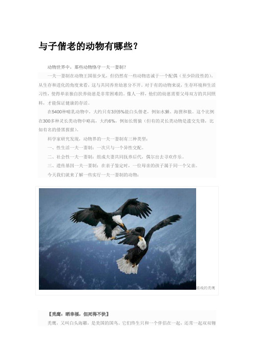 与子偕老的动物有哪些？