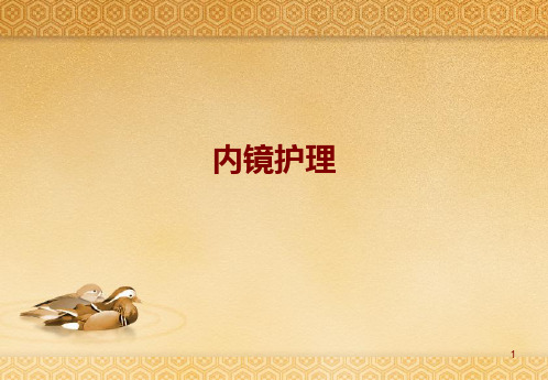 内镜护理PPT课件