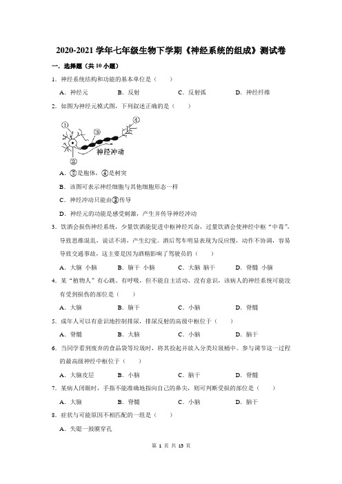 2020-2021学年七年级生物下学期《神经系统的组成》测试卷及答案解析