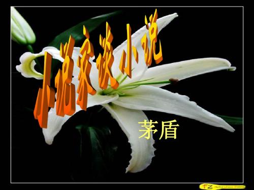 小说家谈小说.ppt