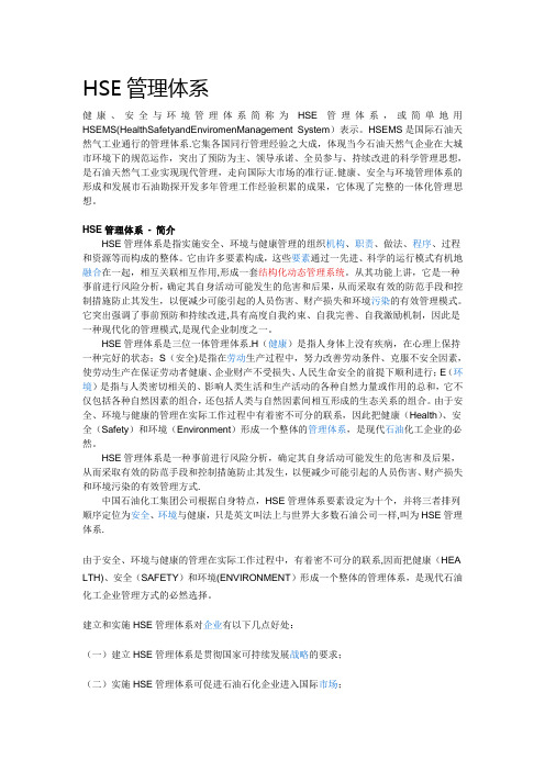 HSE管理体系