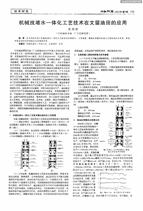 机械找堵水一体化工艺技术在文留油田的应用