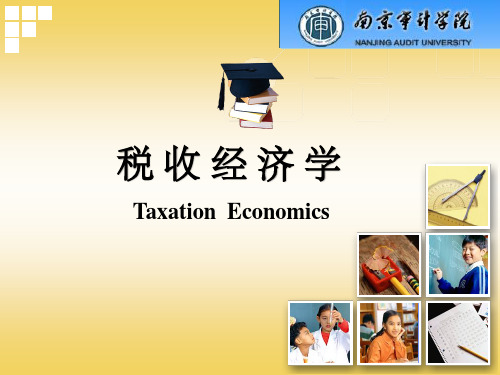 税收经济学基础知识.ppt